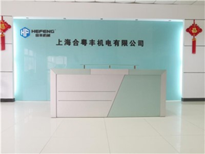 Shanghai Heyuefeng Machanical & Electrical Co., Ltd. (дочерняя компания, создана в 2007 г.) 